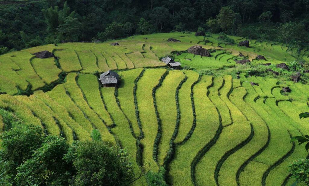 landscape Vietnam​